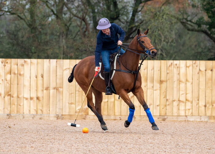 Outdoor arena polo