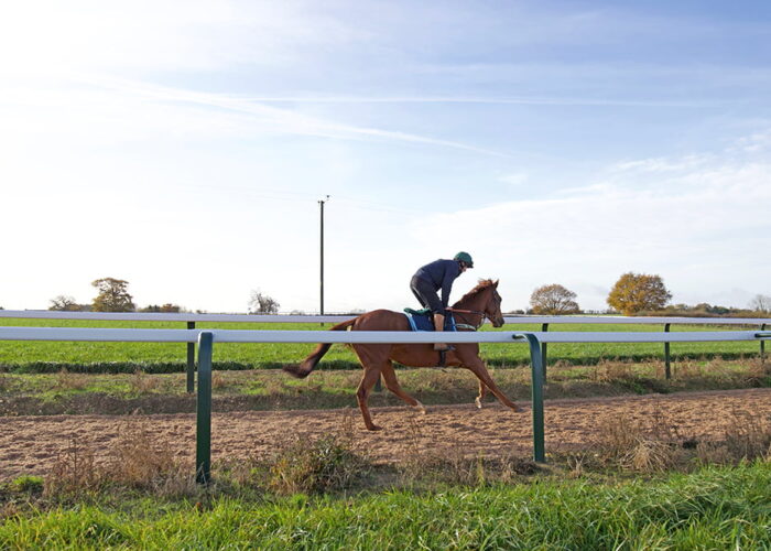 Marcus Foley canter track