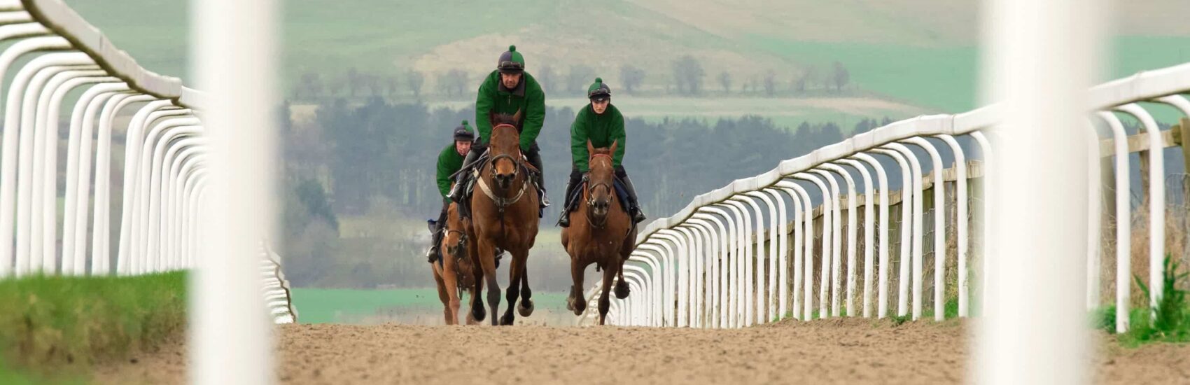 equestrian-surfaces-ltd-racing-gallop-scaled-aspect-ratio-1700-550