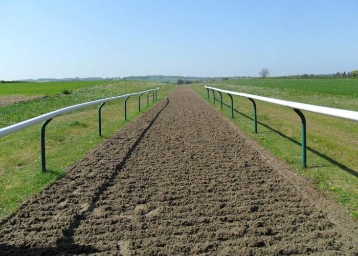 Gallop