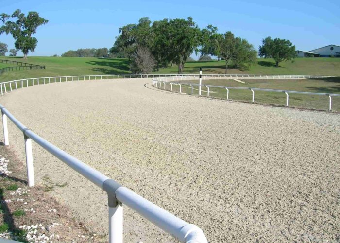 Gallop