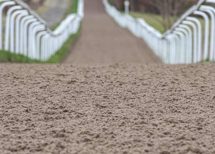 Gallop