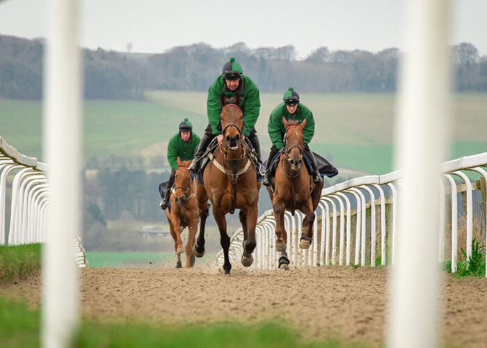 Gallop