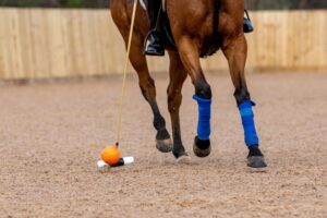 Arena Polo