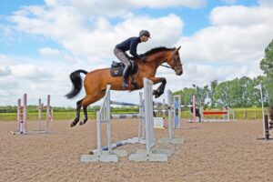 Pinfold Stables – Alex Hua Tian