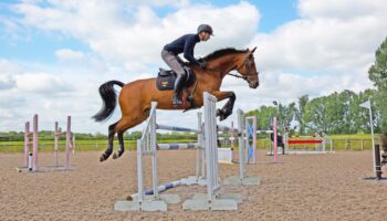 Pinfold Stables – Alex Hua Tian
