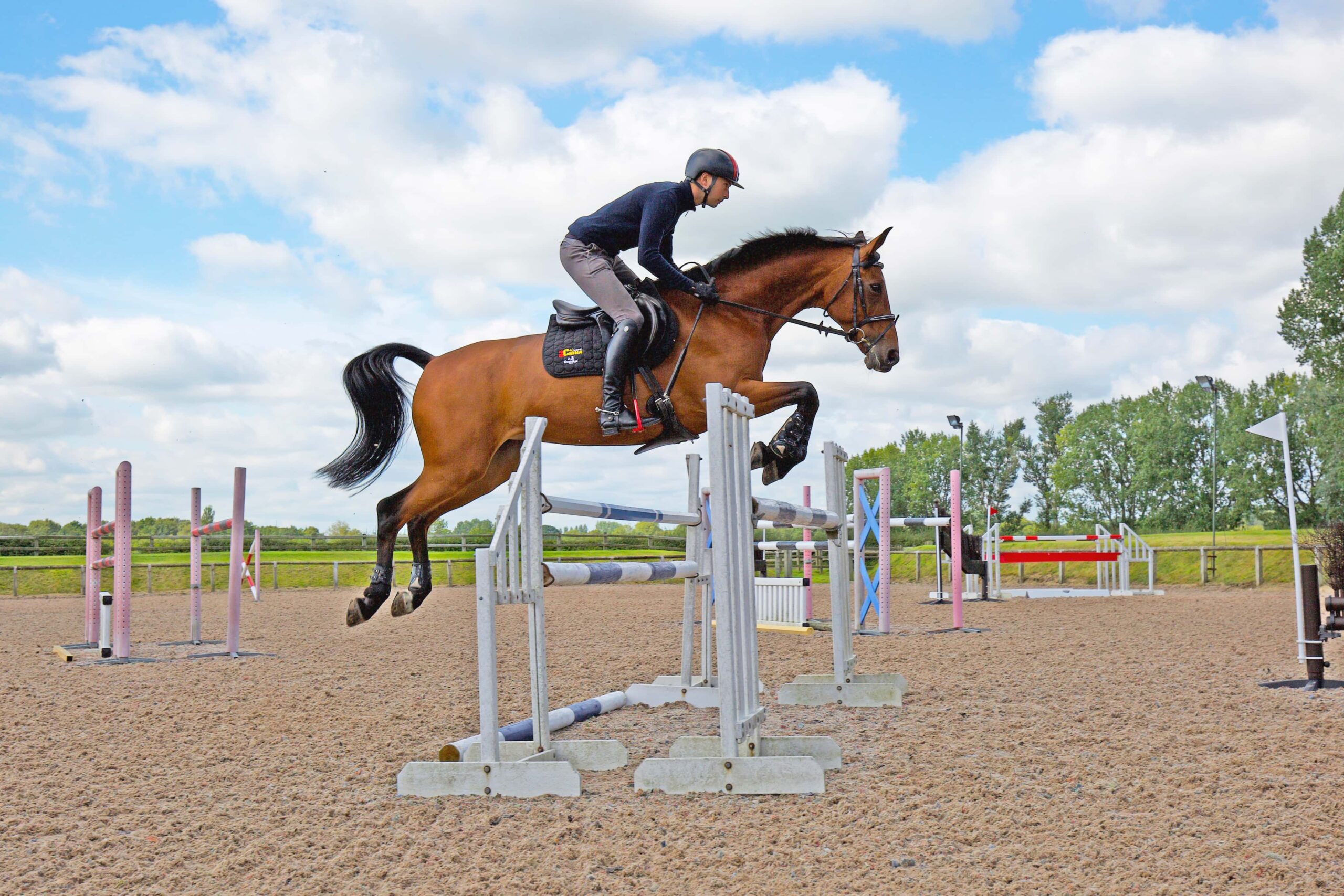Pinfold Stables – Alex Hua Tian