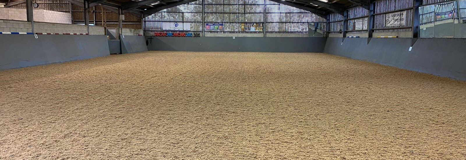 World Horse Welfare