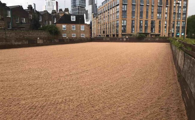 Vauxhall City Farm