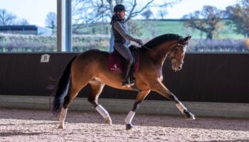 Rebecca Hughes Dressage