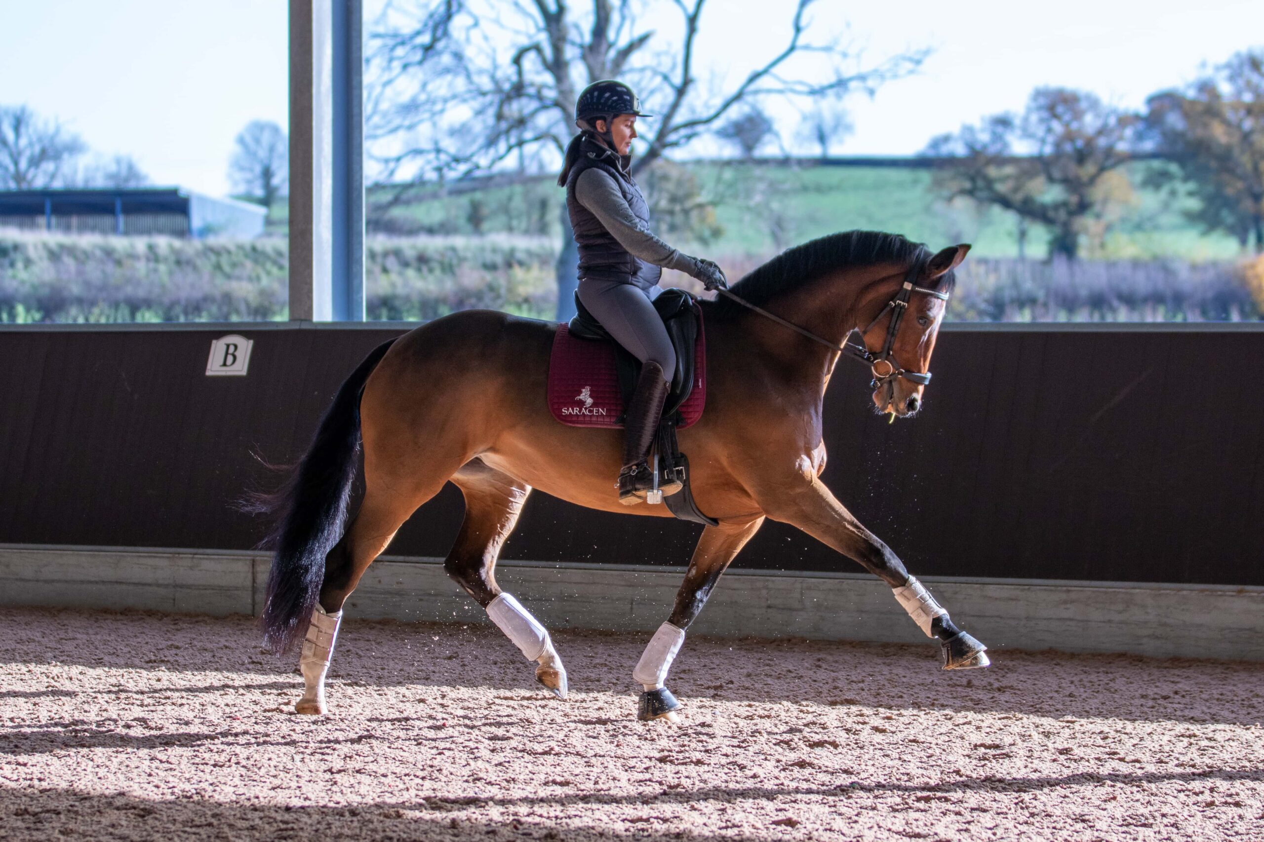 Rebecca Hughes Dressage