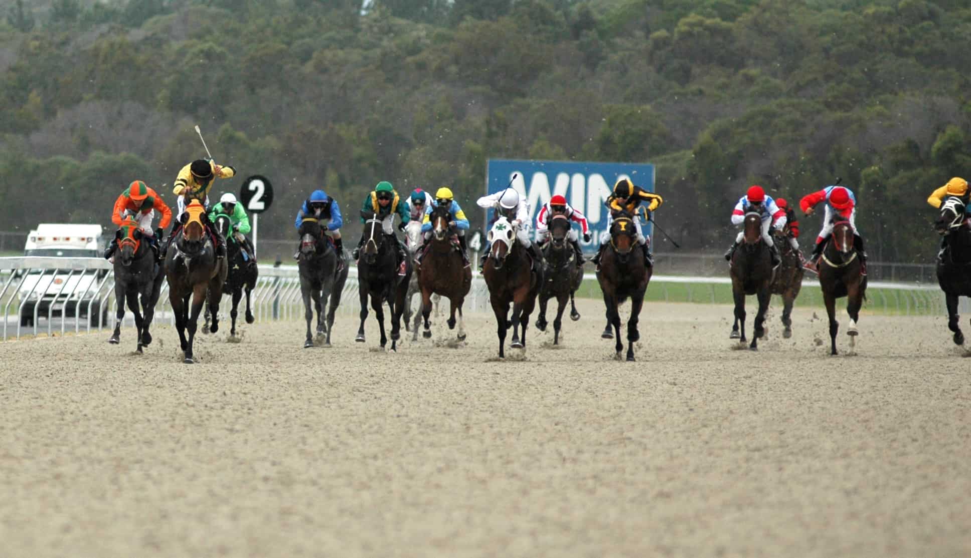 Sunshine Coast Turf Club