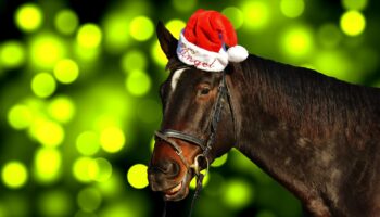 horse-christmas-green