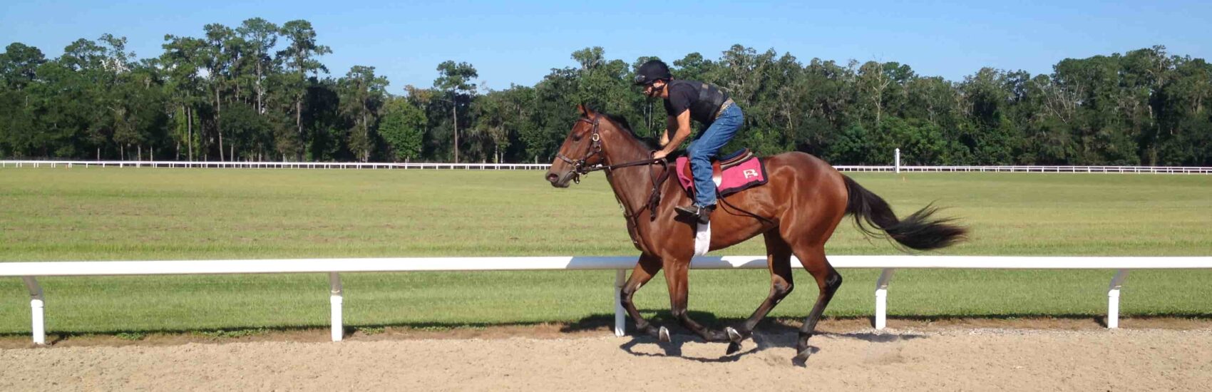 Canter Track Florida