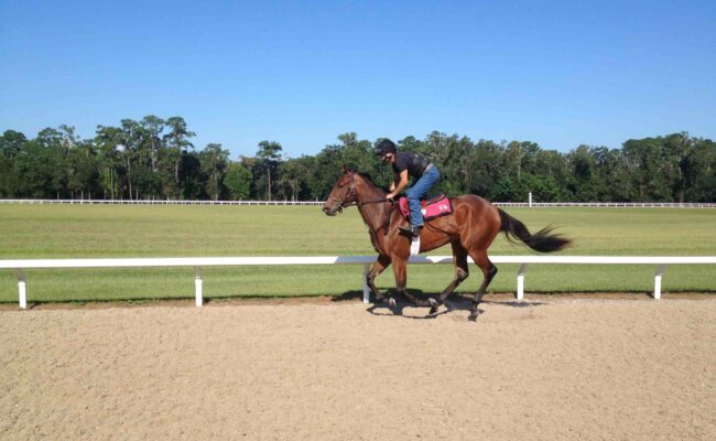 Canter Track Florida