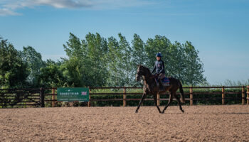 Warren Chase Stables