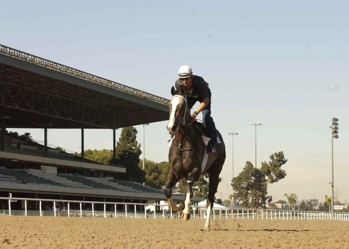 Hollywood-park–aspect-ratio-600-400
