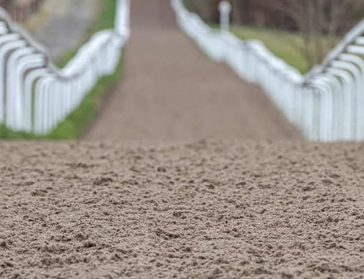 Gallop Surfaces