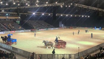 World Clydesdale Show