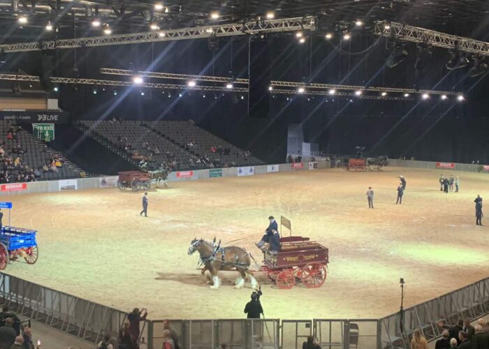 World Clydesdale Show
