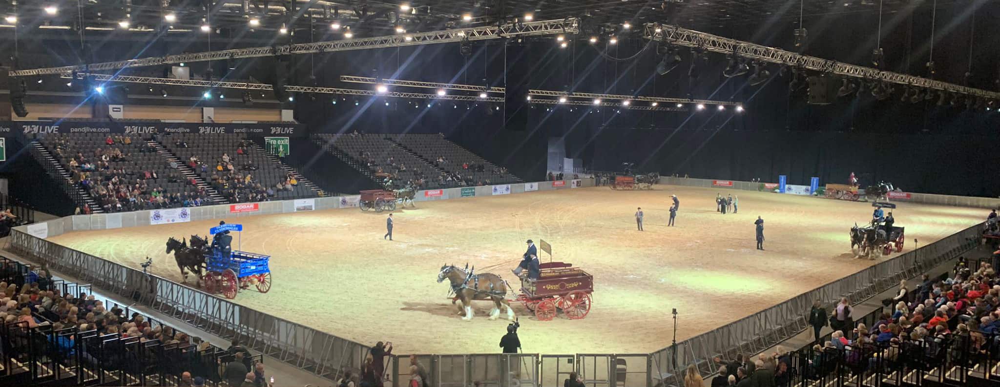 World Clydesdale Show