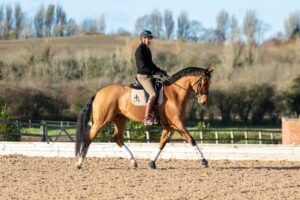 Equestrian Surfaces ambassador Gareth Hughes