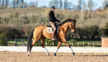 Equestrian Surfaces ambassador Gareth Hughes