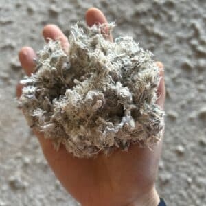 Equestrian Fibres