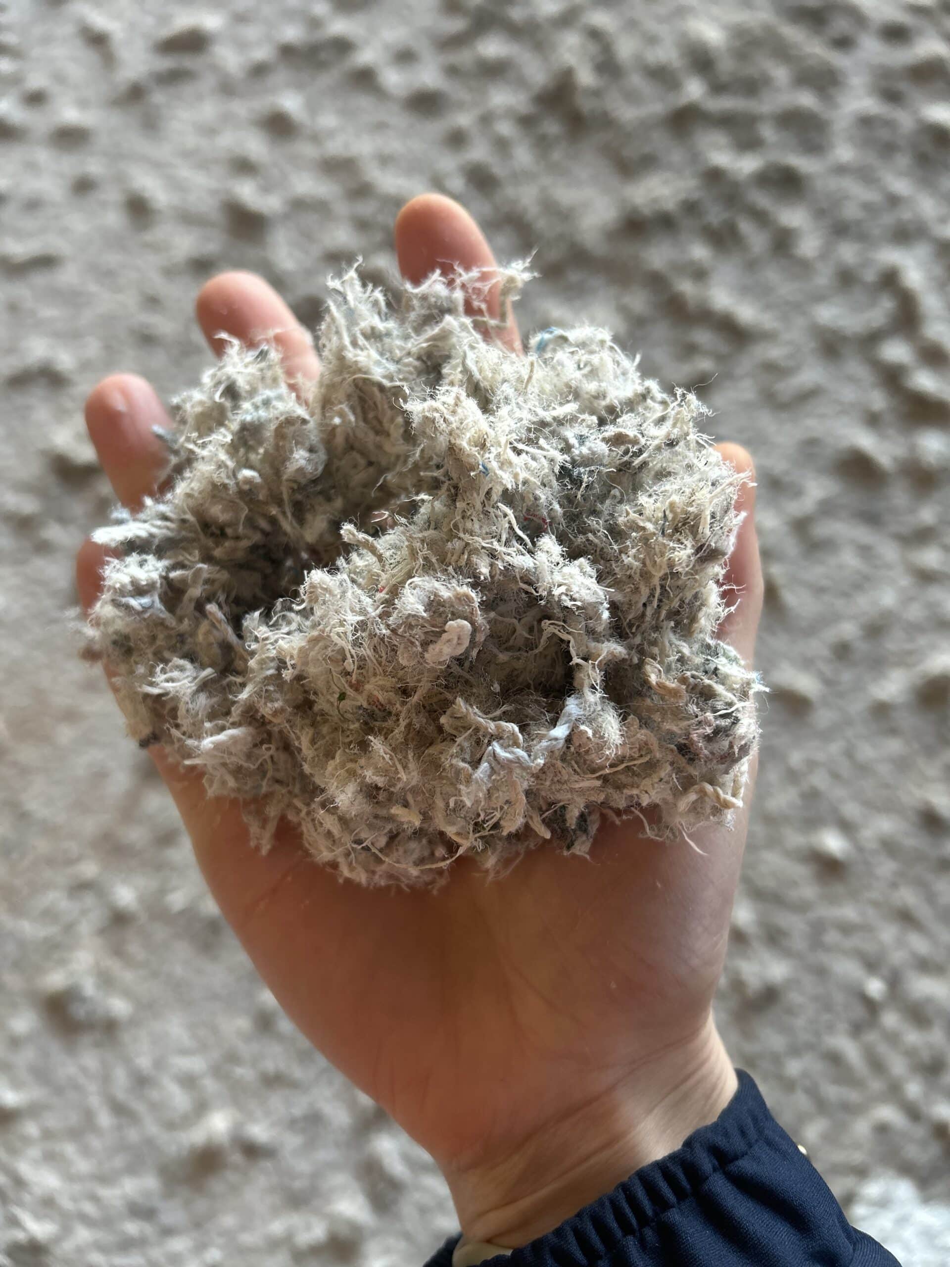 Equestrian Fibres