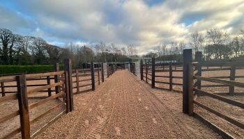 Turnout pens 2